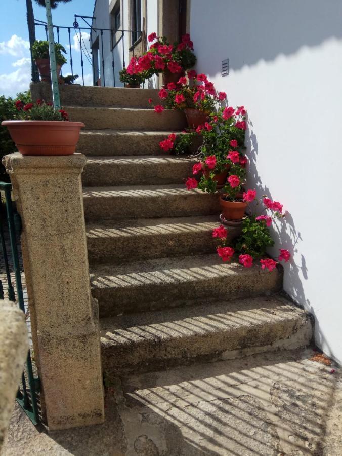 Гостевой дом Casa Do Balcao Alcains Экстерьер фото